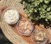 Top-down view of four cups of ice cream with toppings on a wooden board beside a green plant.